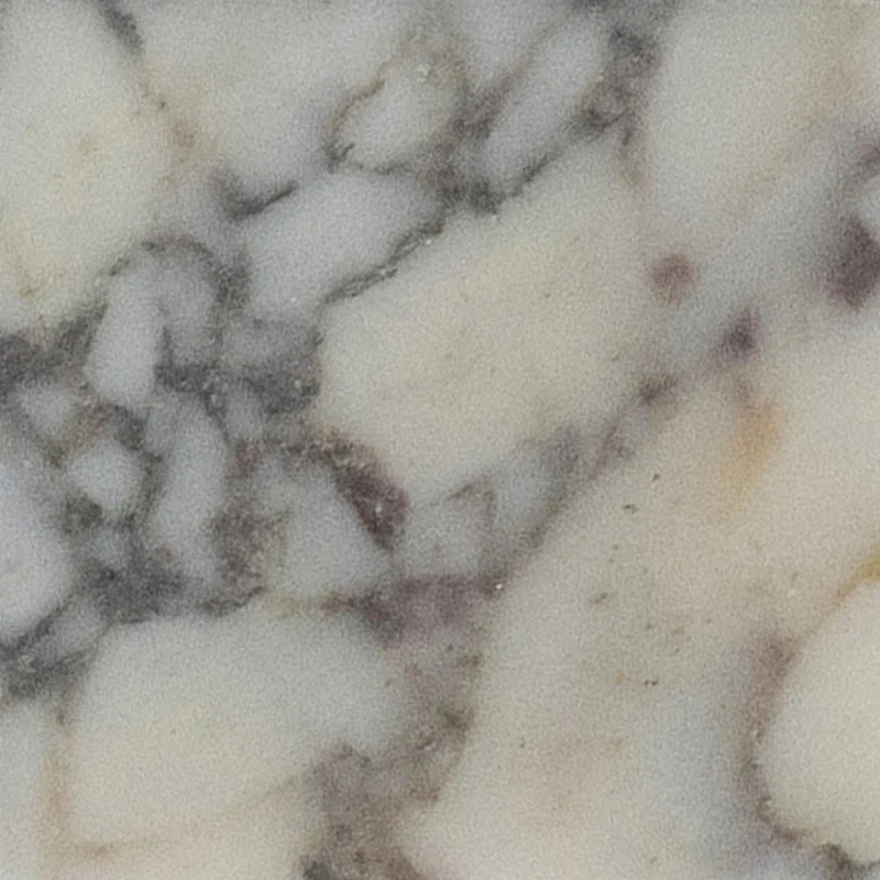 Calacatta Viola Honed 4'' x 4''  x 3/8'' Field Tile