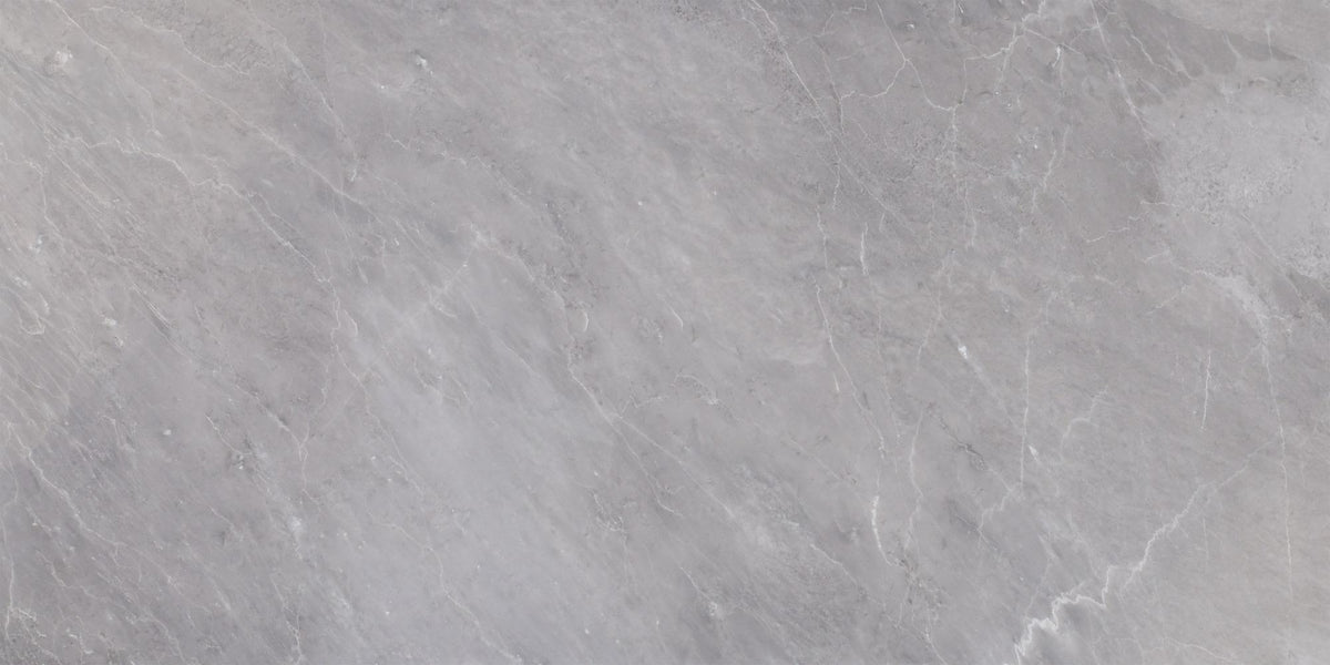 Earth Grey Polished 12&#39;&#39; x 24&#39;&#39;  x 1/2&#39;&#39; Field Tile