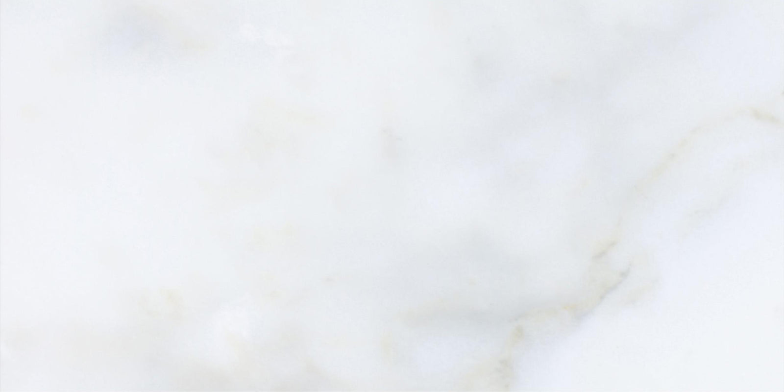 Calacatta Vida Honed 6'' x 12''  x 3/8'' Field Tile Field Tile 