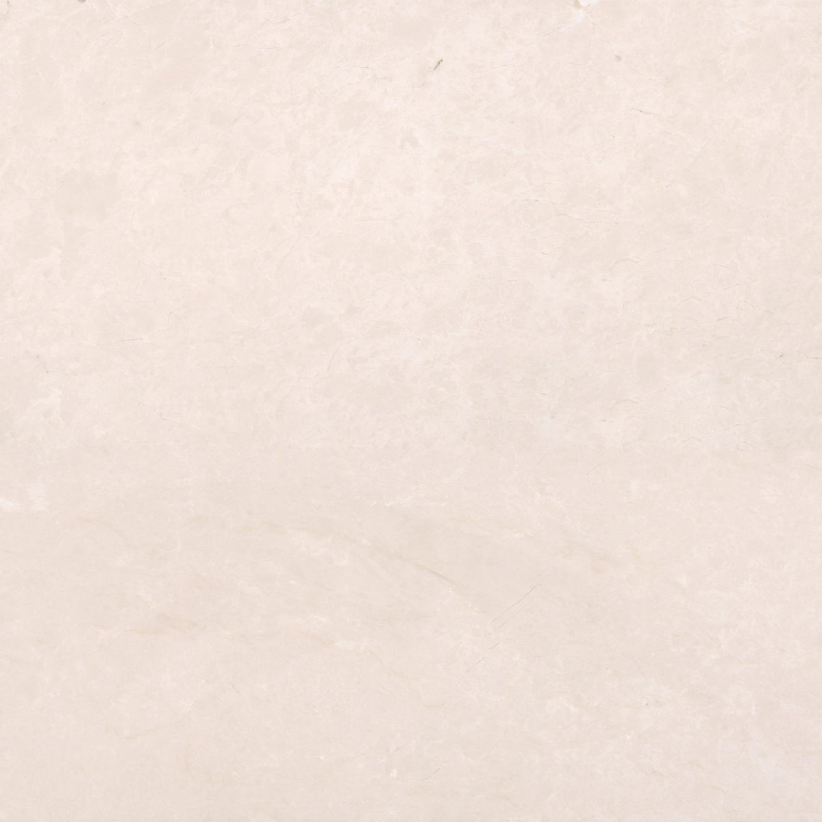 Crema Ella Honed 24&#39;&#39; x 24&#39;&#39;  x 5/8&#39;&#39; Field Tile