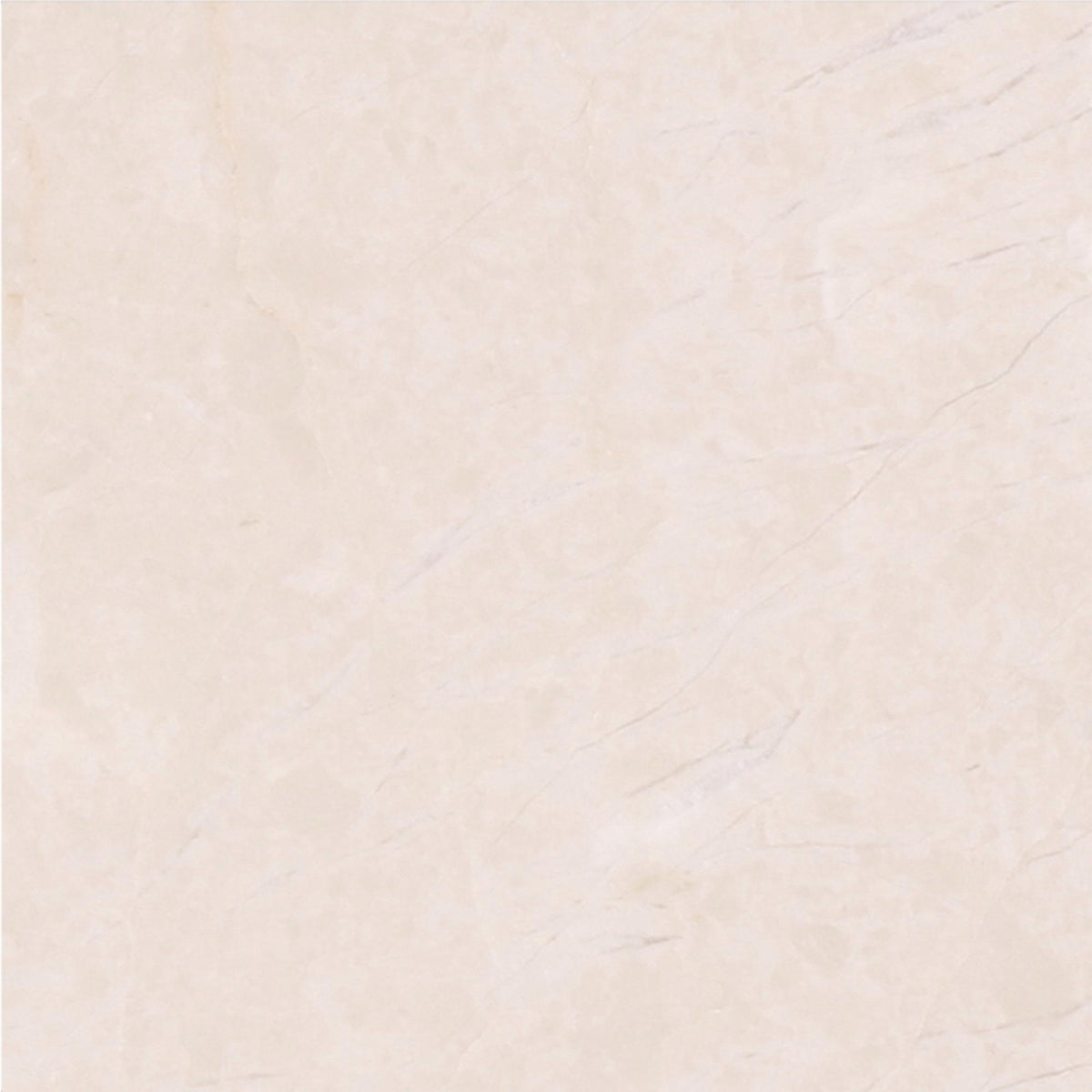 Crema Ella Honed 4&#39;&#39; x 4&#39;&#39;  x 3/8&#39;&#39; Field Tile