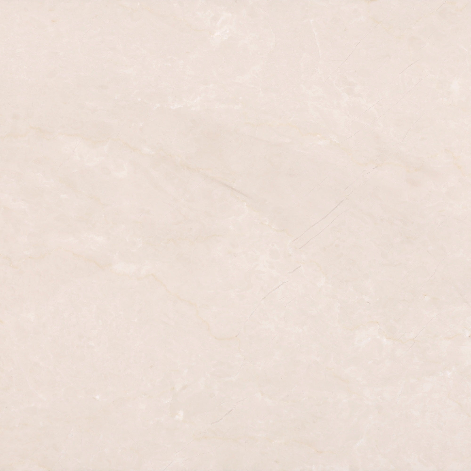 Crema Ella Polished 12'' x 12''  x 1/2'' Field Tile Field Tile 