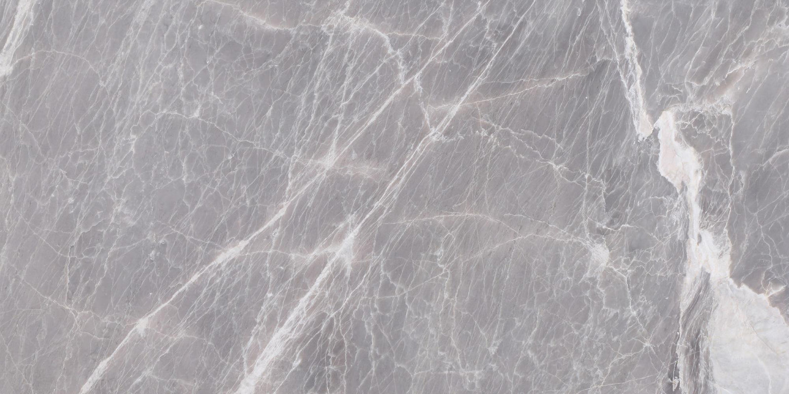 Nordic Grey Polished 12'' x 24''  x 1/2'' Field Tile Field Tile 