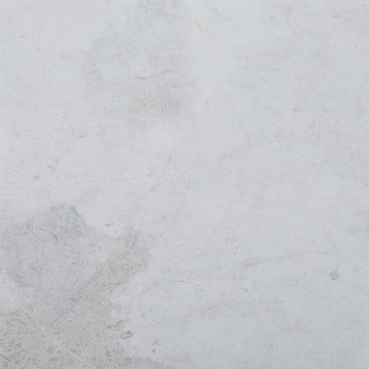 Elegantia Honed 12'' x 12''  x 3/8'' Field Tile
