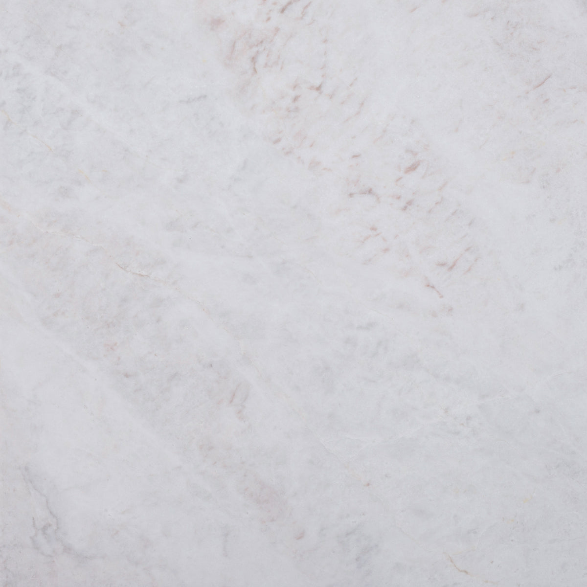 Elegantia Honed 12'' x 12''  x 3/8'' Field Tile