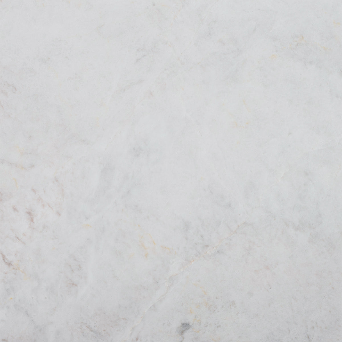 Elegantia Honed 12'' x 12''  x 3/8'' Field Tile