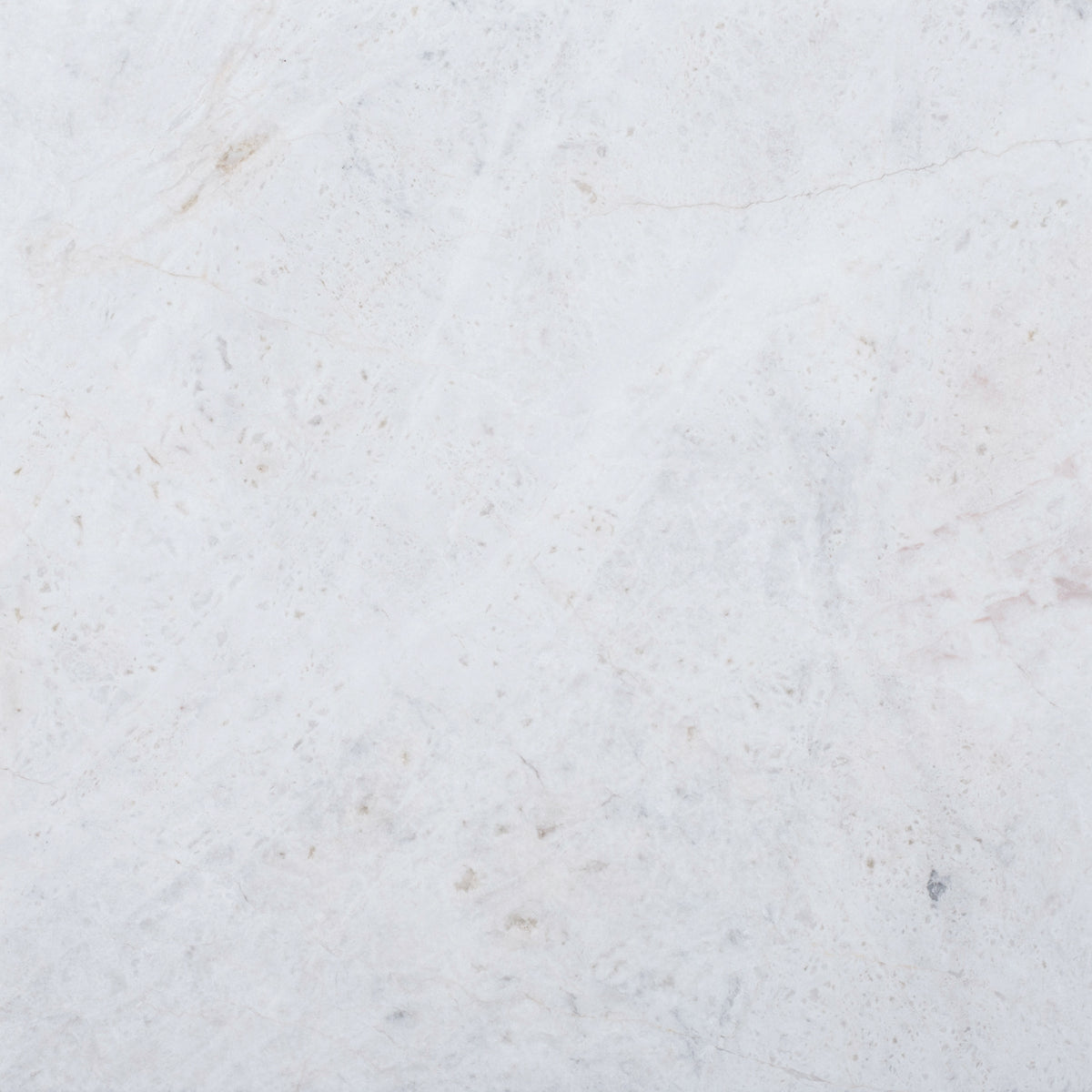 Elegantia Honed 12'' x 12''  x 3/8'' Field Tile