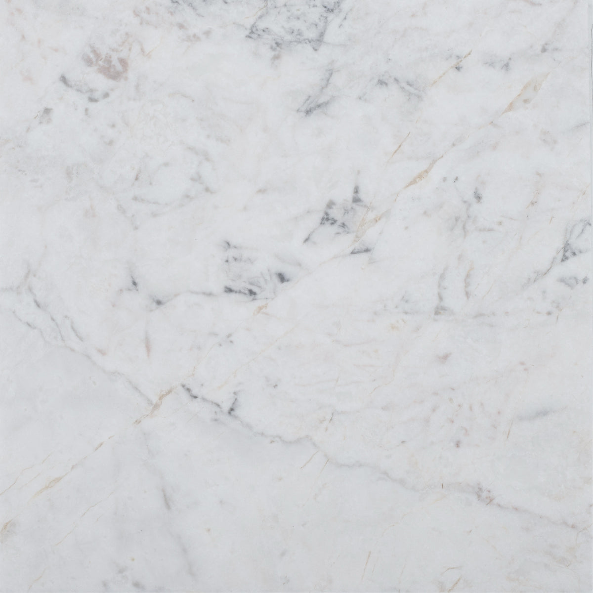Elegantia Honed 12'' x 12''  x 3/8'' Field Tile