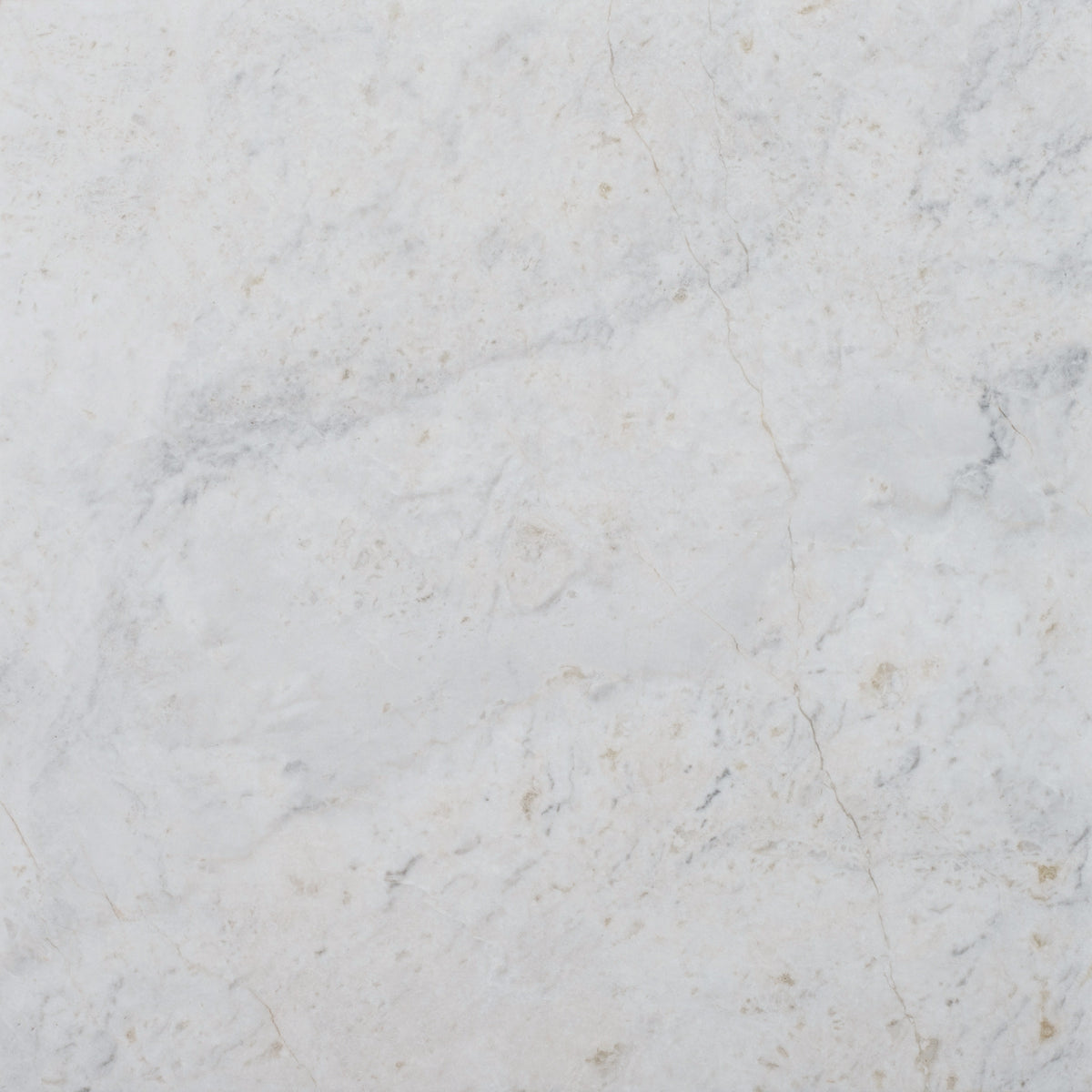 Elegantia Honed 12'' x 12''  x 3/8'' Field Tile