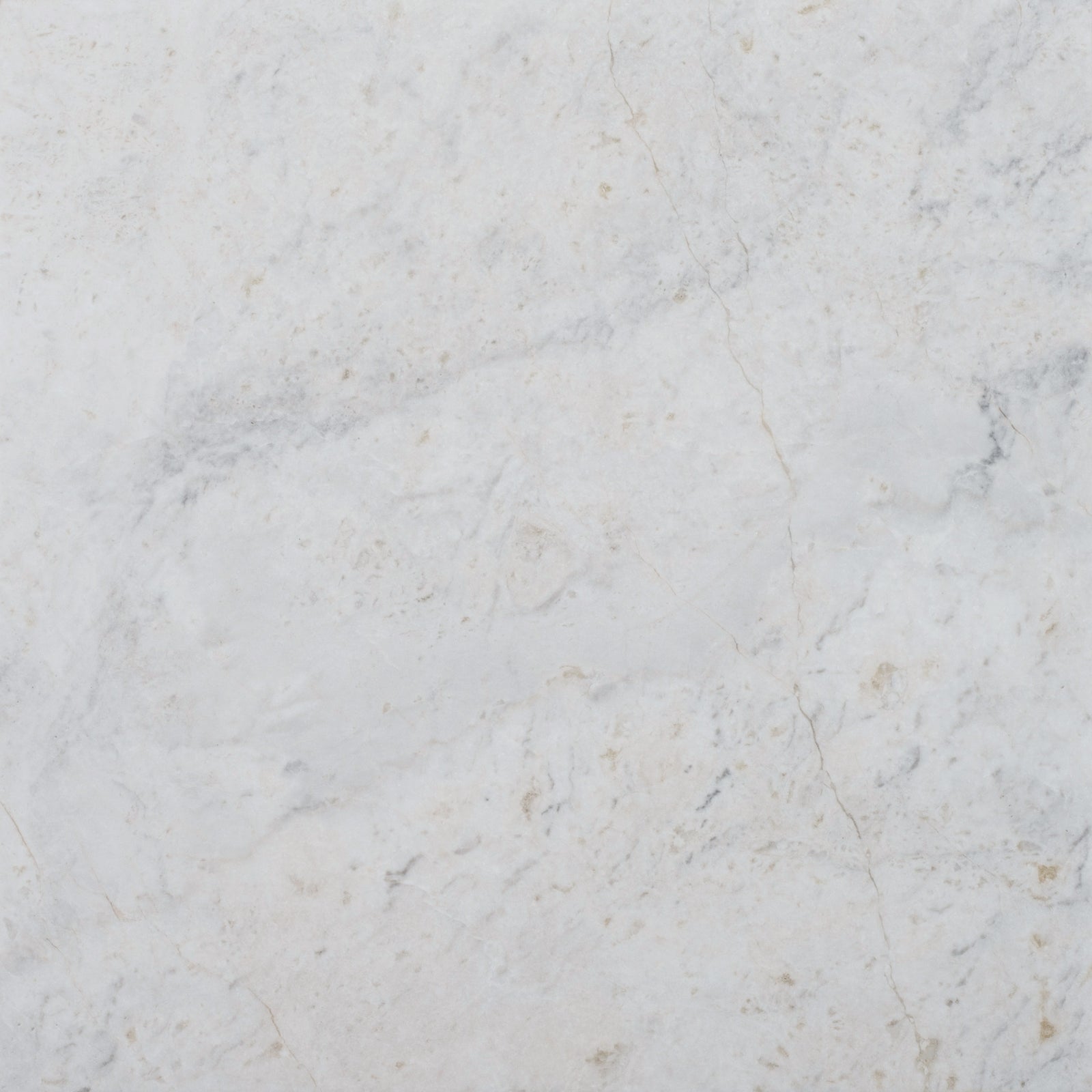 Elegantia Honed 12'' x 12''  x 3/8'' Field Tile Building Materials 