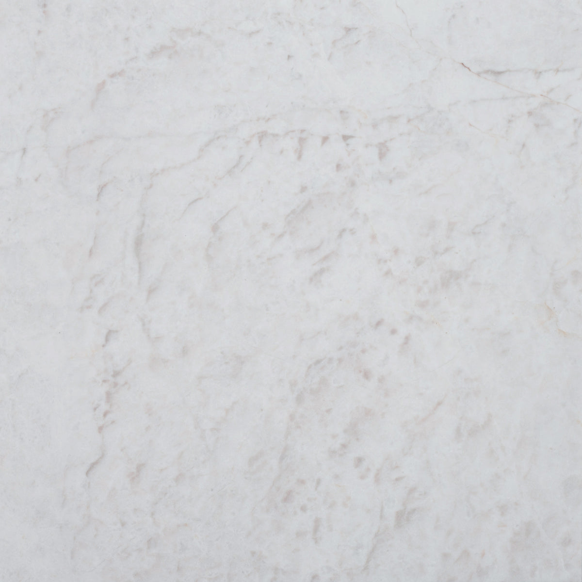 Elegantia Honed 12'' x 12''  x 3/8'' Field Tile