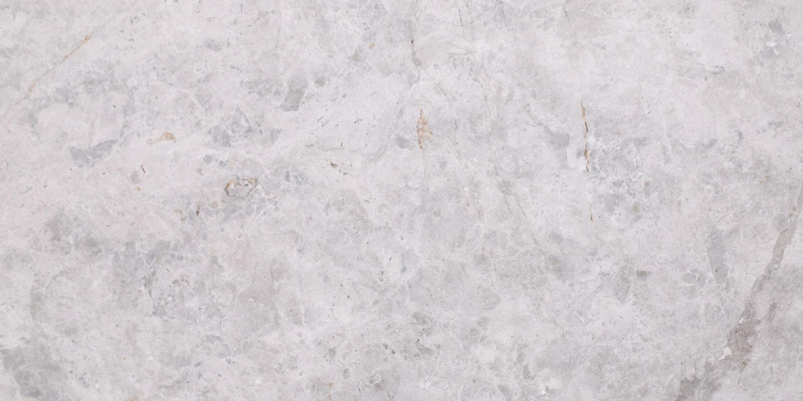 Tundra Grey Polished 12'' x 24''  x 1/2'' Field Tile Field Tile 