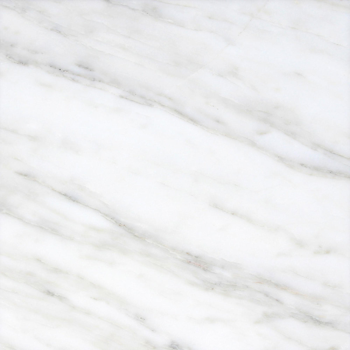 Calacatta Vida Honed 24&#39;&#39; x 24&#39;&#39;  x 3/8&#39;&#39; Field Tile