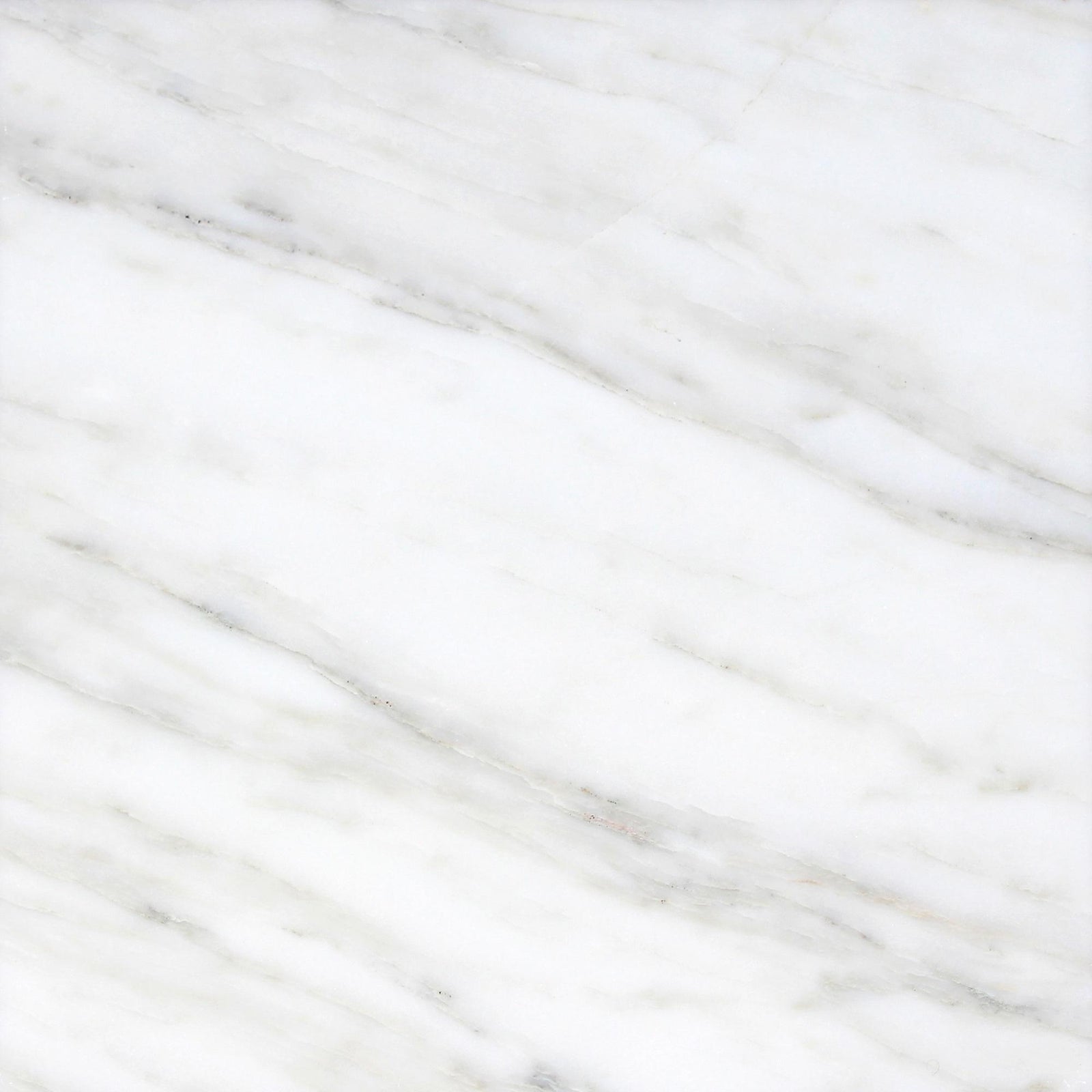 Calacatta Vida Honed 24'' x 24''  x 3/8'' Field Tile Field Tile 