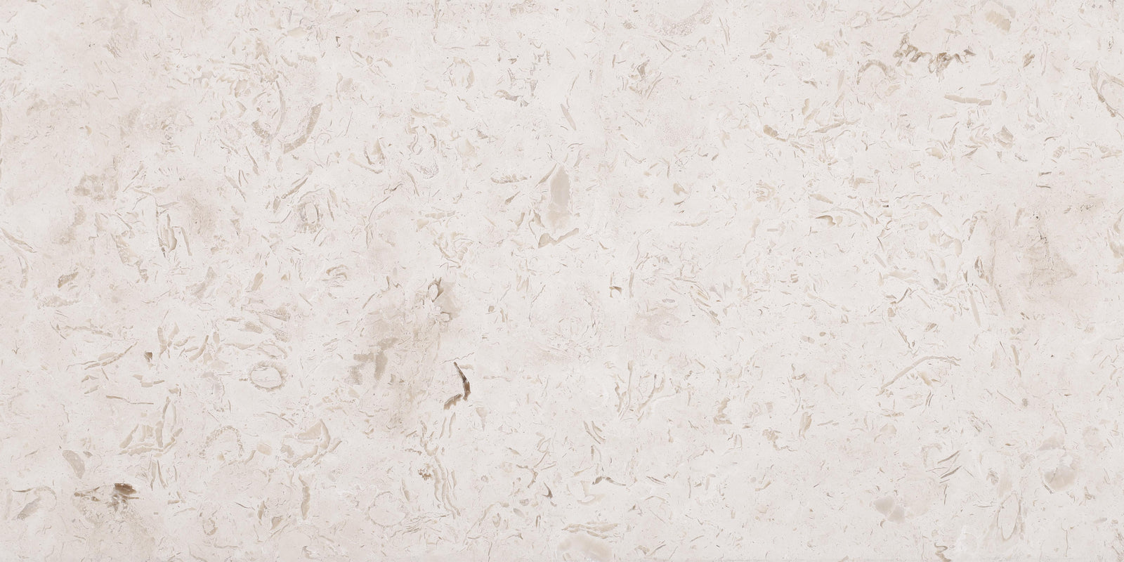 Cream Bouquet Honed 12'' x 24''  x 1/2'' Field Tile Field Tile 