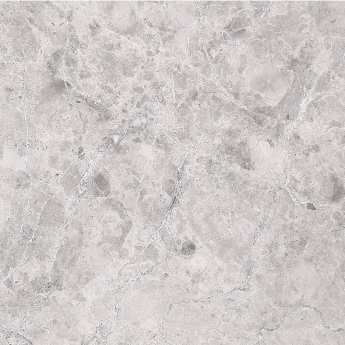 Tundra Grey Honed 16&#39;&#39; x 16&#39;&#39;  x 5/8&#39;&#39; Field Tile