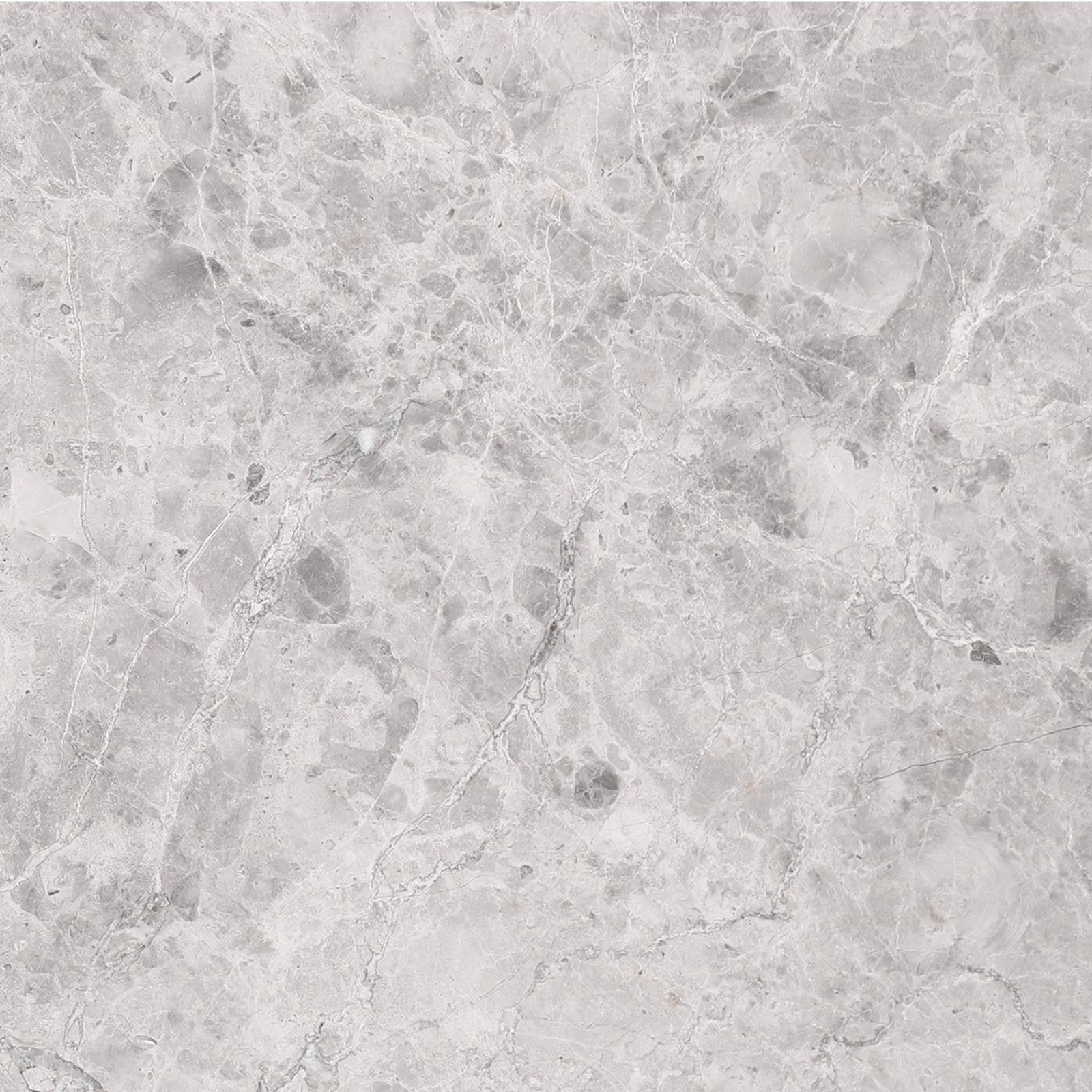 Tundra Grey Honed 16'' x 16''  x 5/8'' Field Tile Field Tile 