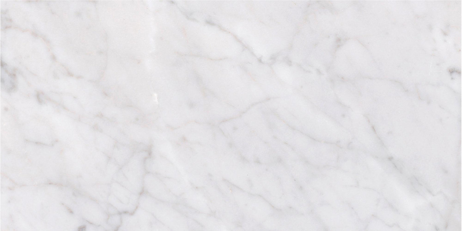 Bianco Carrara Honed 6'' x 12''  x 3/8'' Field Tile Field Tile 