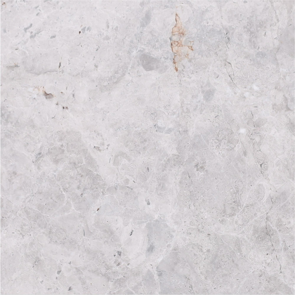 Tundra Grey Honed 12&#39;&#39; x 12&#39;&#39;  x 3/8&#39;&#39; Field Tile Field Tile 