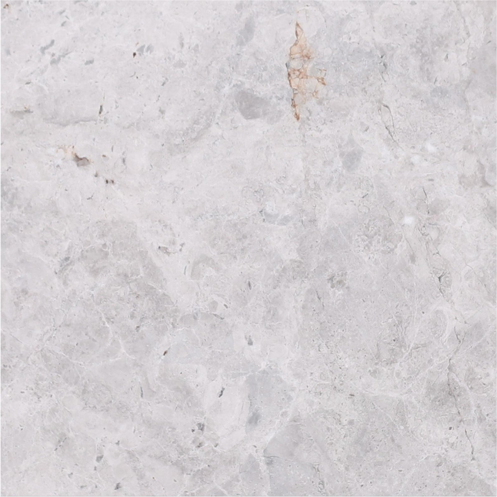 Tundra Grey Honed 12'' x 12''  x 3/8'' Field Tile Field Tile 