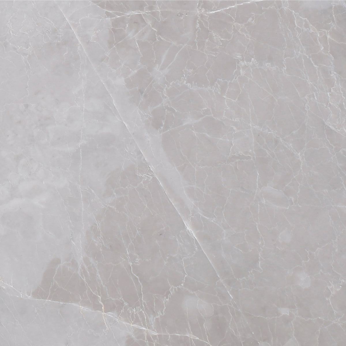 Earth Grey Polished 12'' x 12''  x 3/8'' Field Tile