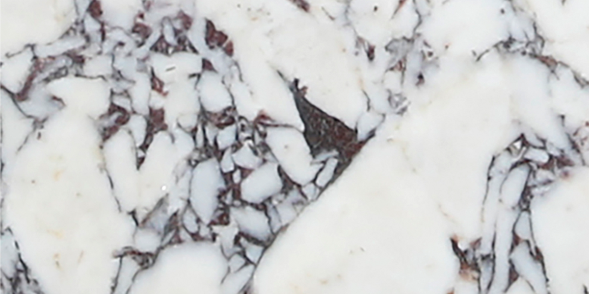 Calacatta Viola Honed 6'' x 12''  x 3/8'' Field Tile