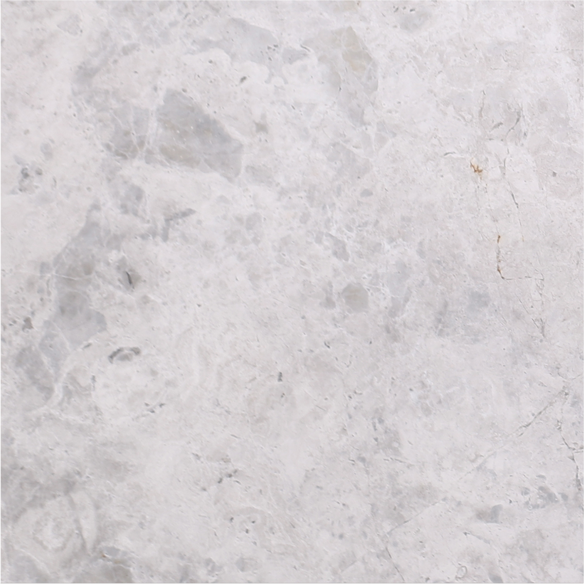 Tundra Grey Polished 12'' x 12''  x 3/8'' Field Tile Building Materials 