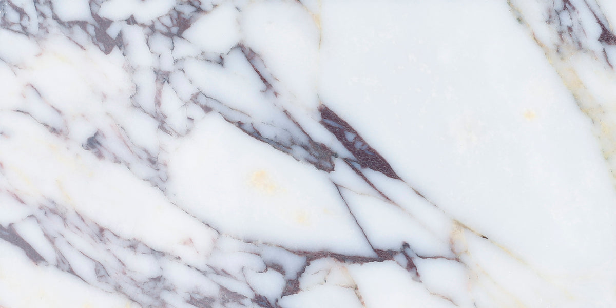 Calacatta Viola Polished 6&#39;&#39; x 12&#39;&#39;  x 3/8&#39;&#39; Field Tile