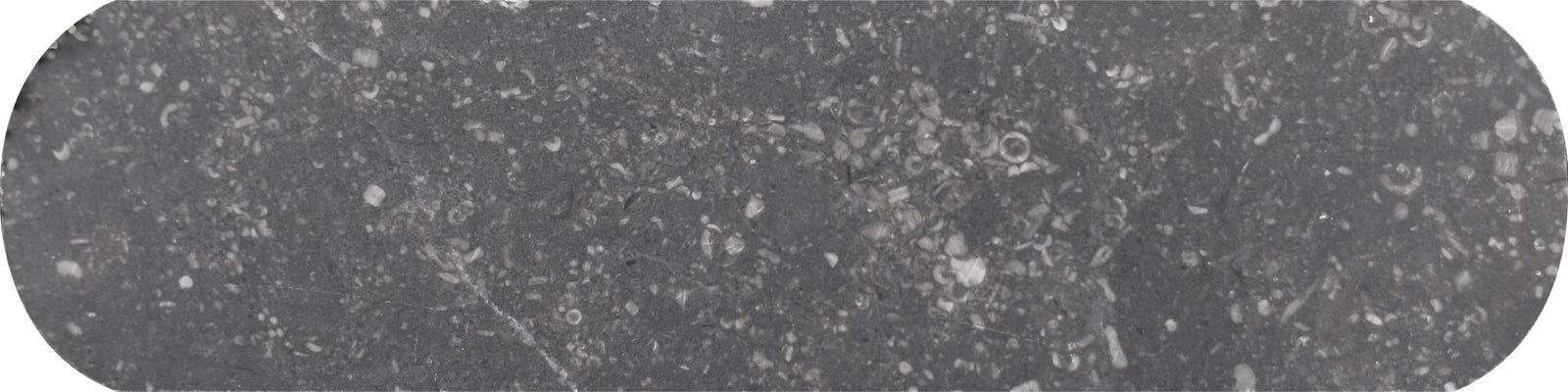 Belgian Blue Honed Tivoli 2'' x 8''  x 3/8'' Field Tile Field Tile 