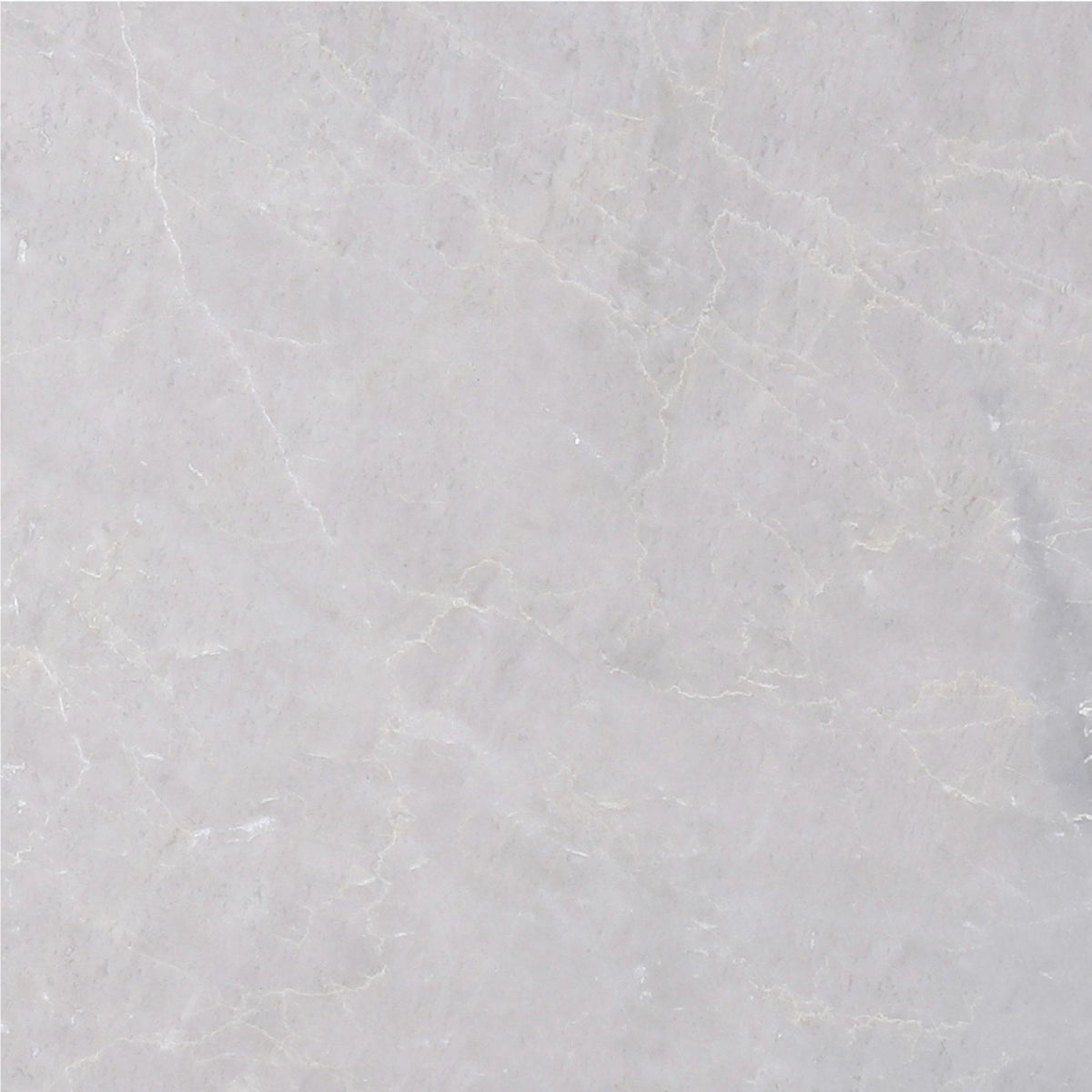 Ice Grey Honed 12&#39;&#39; x 12&#39;&#39;  x 1/2&#39;&#39; Field Tile