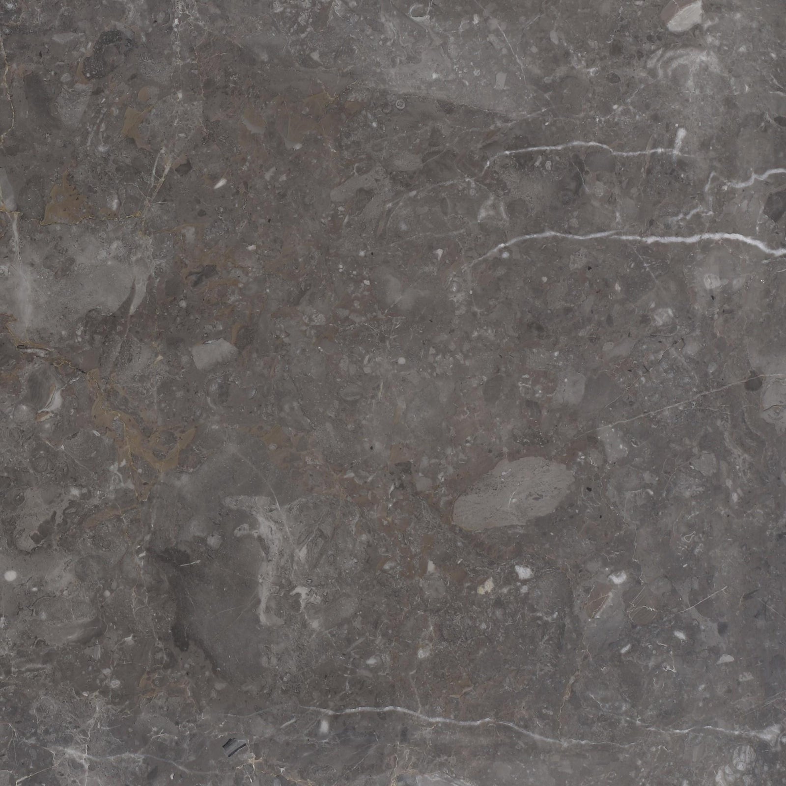 Caribbean Grey Honed 12'' x 12''  x 3/8'' Field Tile Field Tile 