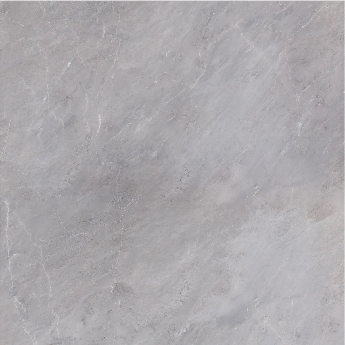 Earth Grey Honed 18&#39;&#39; x 18&#39;&#39;  x 1/2&#39;&#39; Field Tile