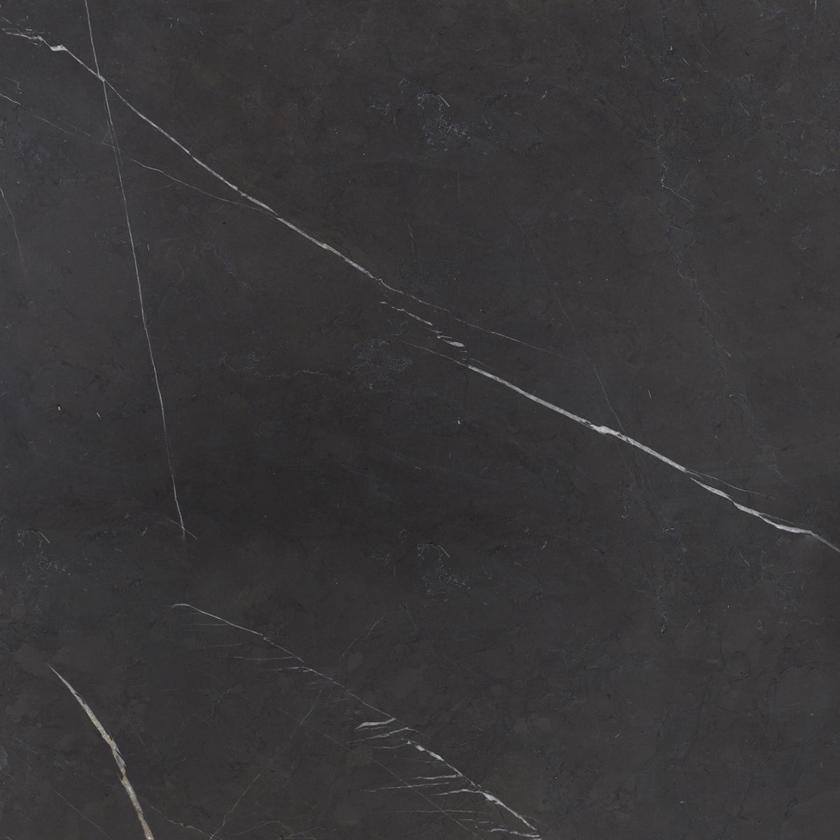 Mount Grey Plain Brushed 18'' x 18''  x 1/2'' Field Tile