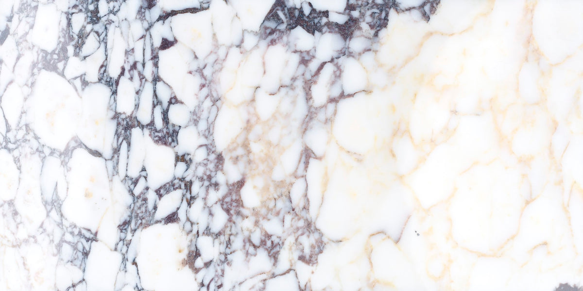 Calacatta Viola Polished 12'' x 24''  x 3/8'' Field Tile