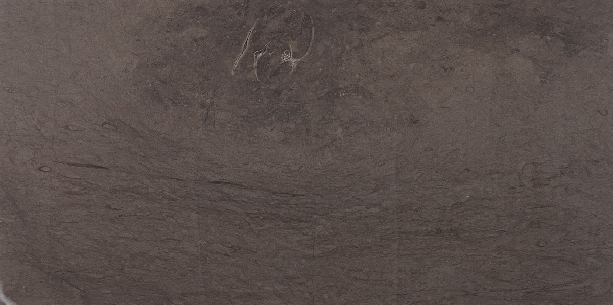 Foussana Honed 12'' x 24''  x 3/8'' Field Tile