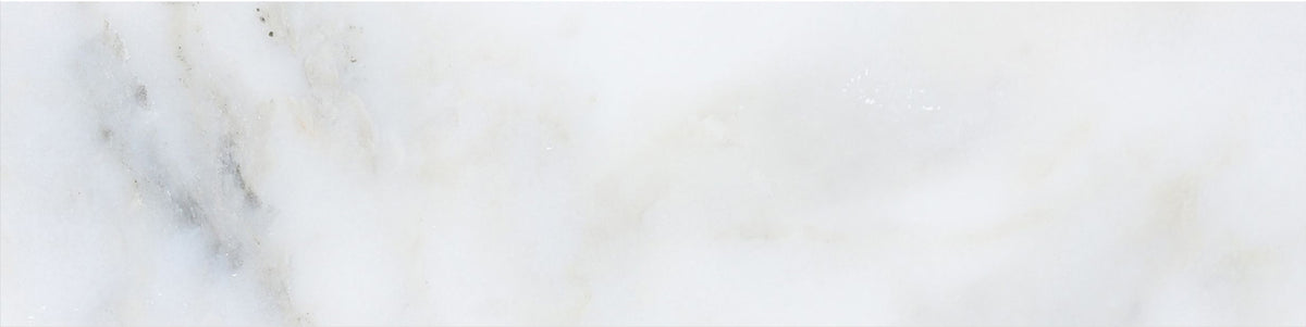 Calacatta Vida Honed 3'' x 12''  x 3/8'' Field Tile Building Materials 