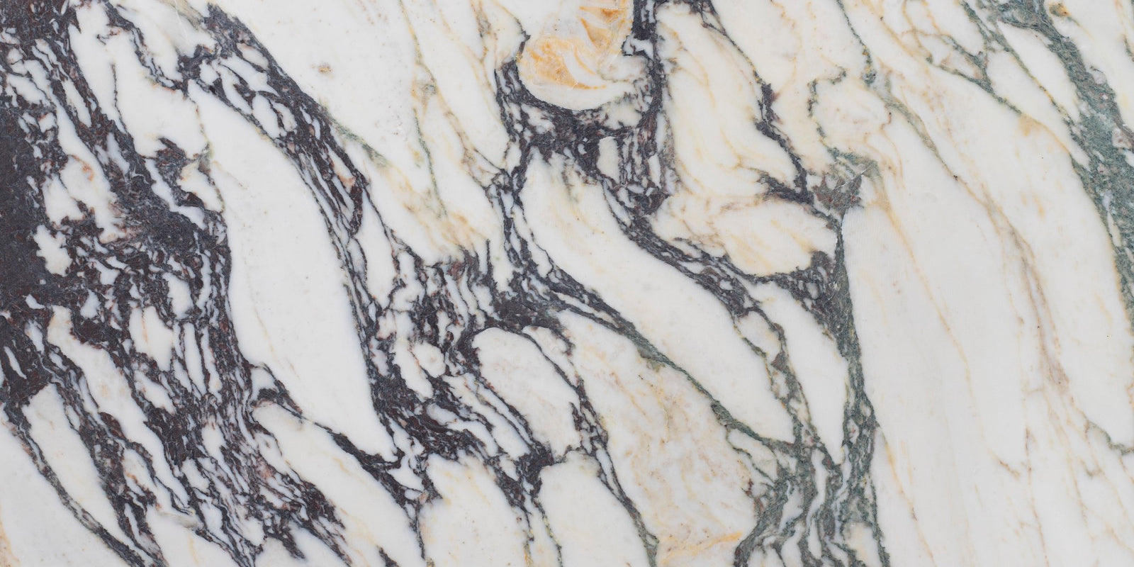 Calacatta Monet Honed 12'' x 24''  x 3/8'' Field Tile Field Tile 