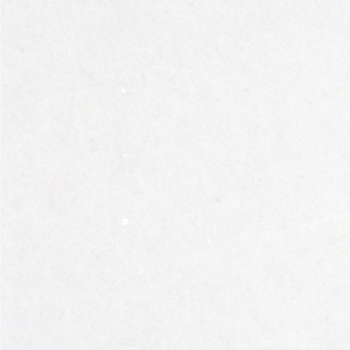 Snow White Honed 18'' x 18''  x 1/2'' Field Tile