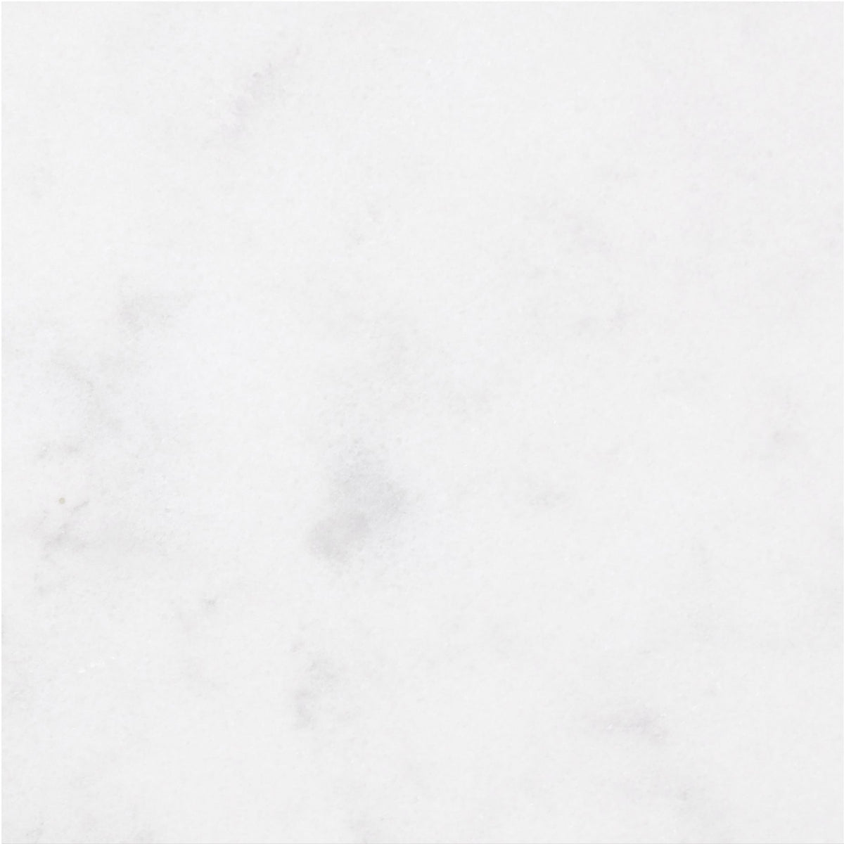 Alba Vera Honed 18'' x 18''  x 3/8'' Field Tile