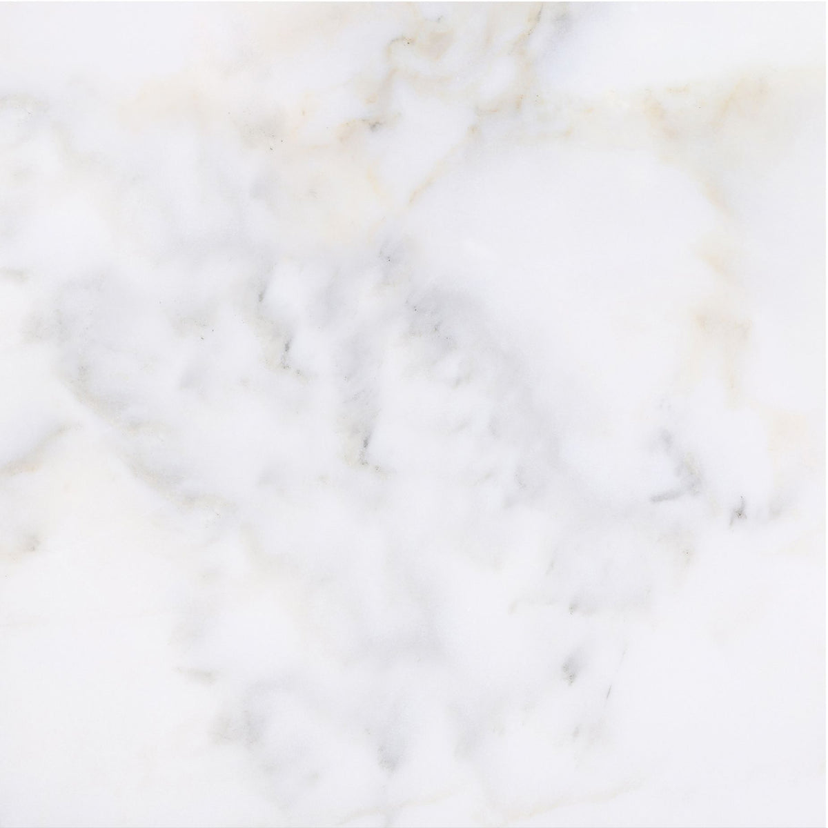 Calacatta Vida Honed 18'' x 18''  x 1/2'' Field Tile