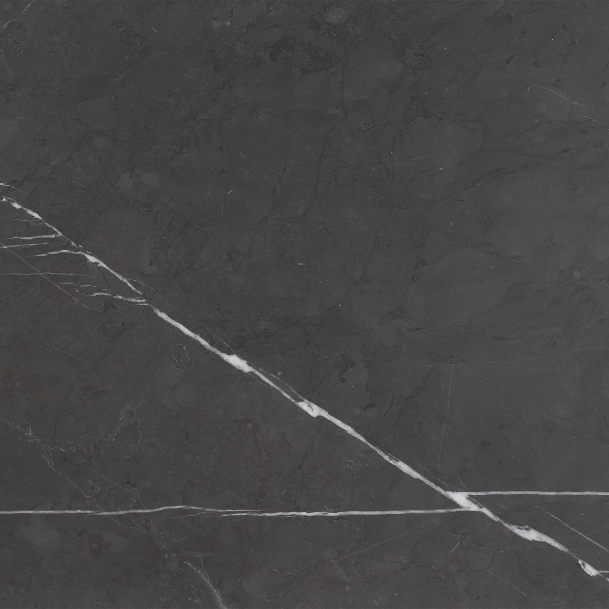 Mount Grey Plain Honed 12'' x 12''  x 3/8'' Field Tile