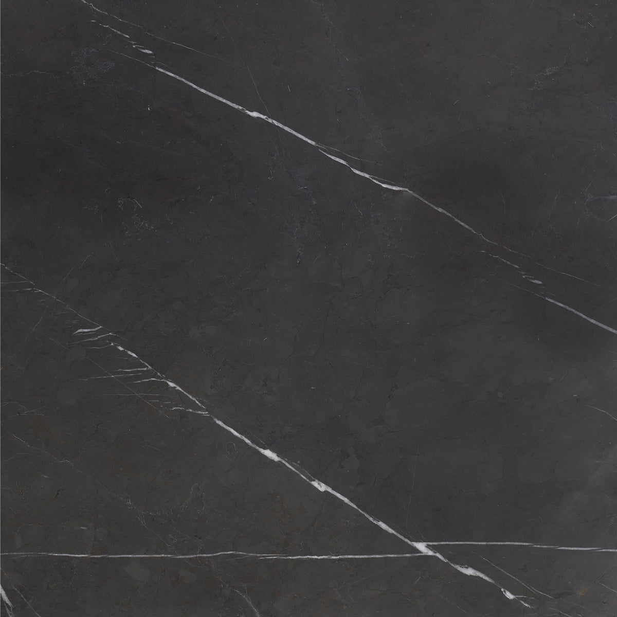 Mount Grey Plain Honed 18'' x 18''  x 1/2'' Field Tile
