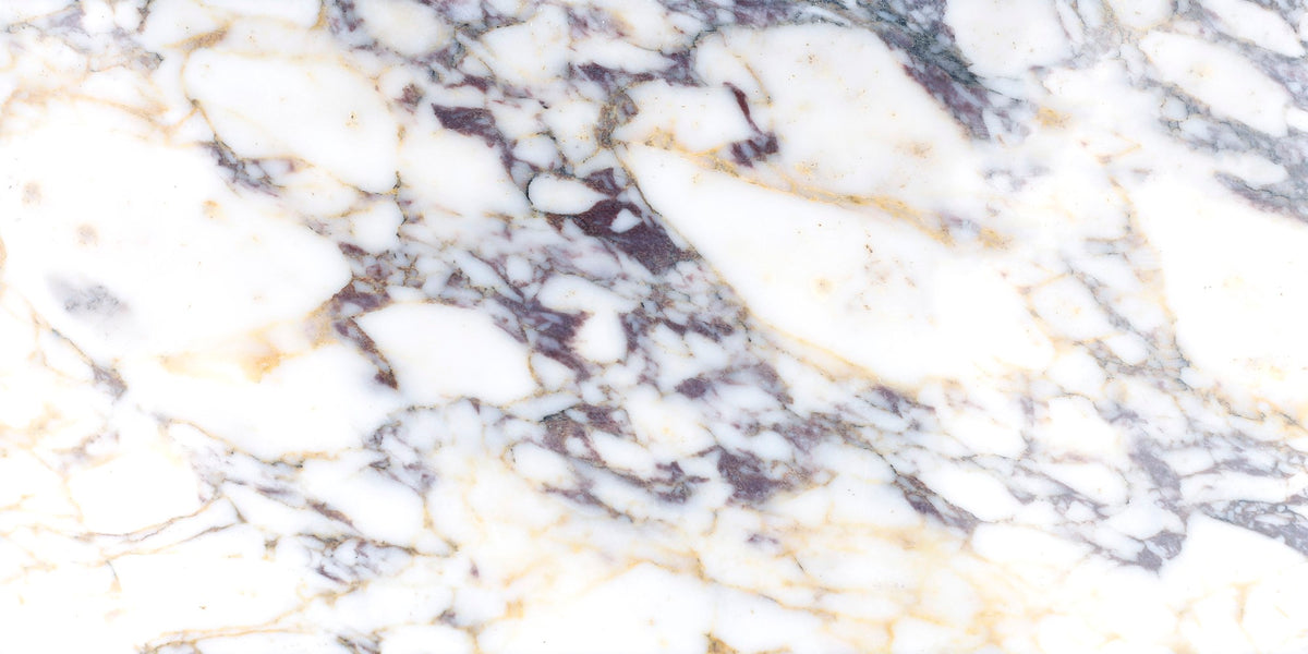 Calacatta Viola Honed 12'' x 24''  x 3/8'' Field Tile Building Materials 