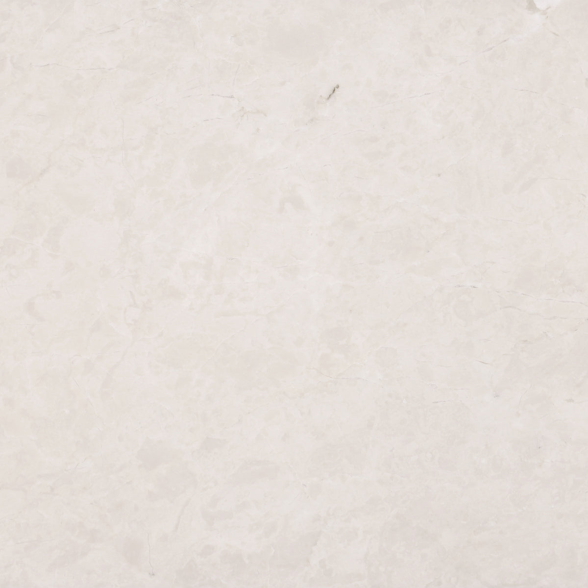 Crema Ella Polished 12'' x 12''  x 3/8'' Field Tile