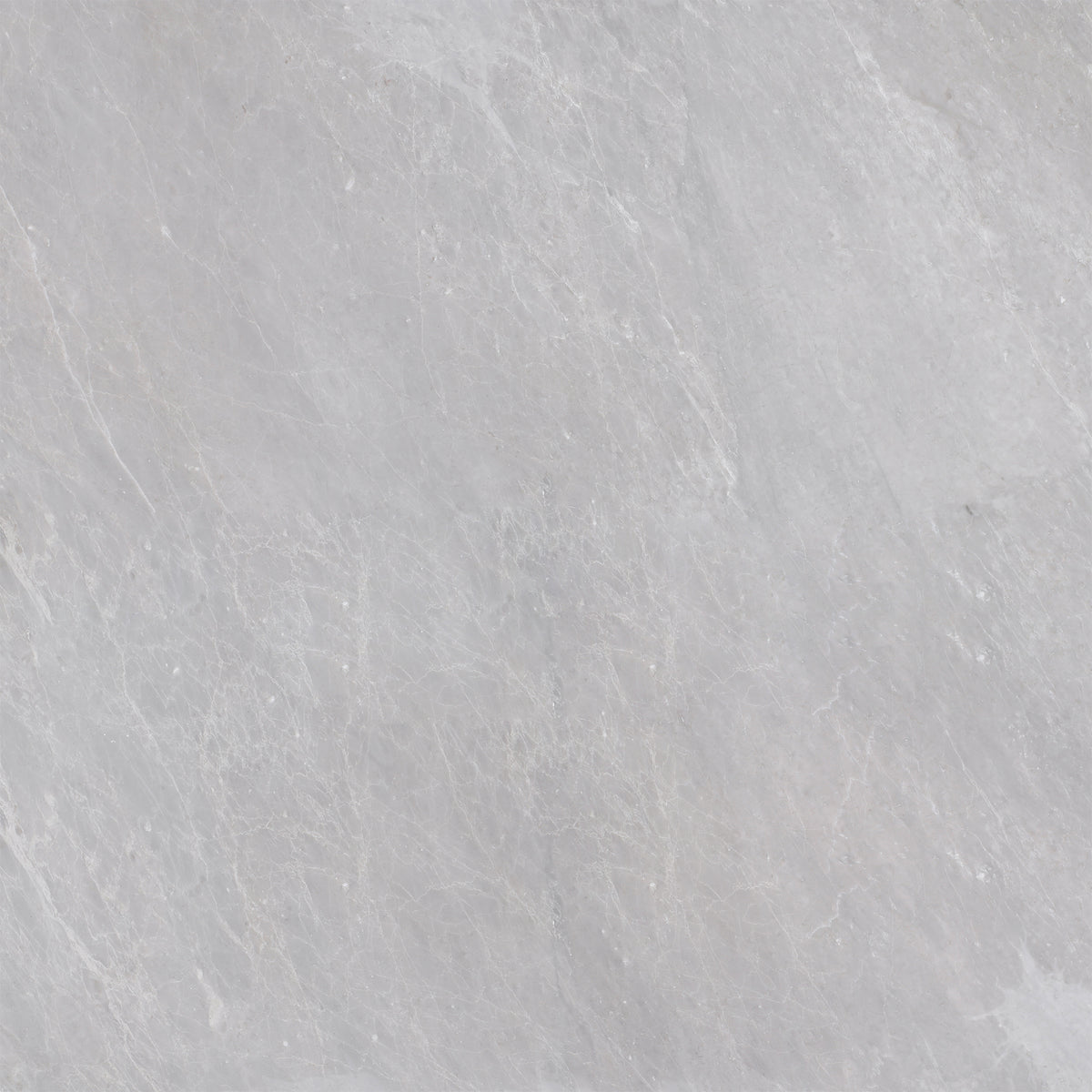 Earth Grey Honed 24'' x 24''  x 1/2'' Field Tile