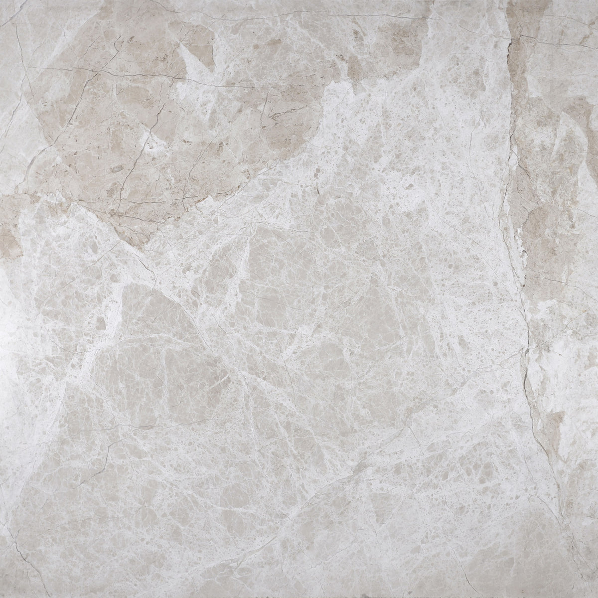 Cream Misto Honed 24'' x 24''  x 5/8'' Field Tile