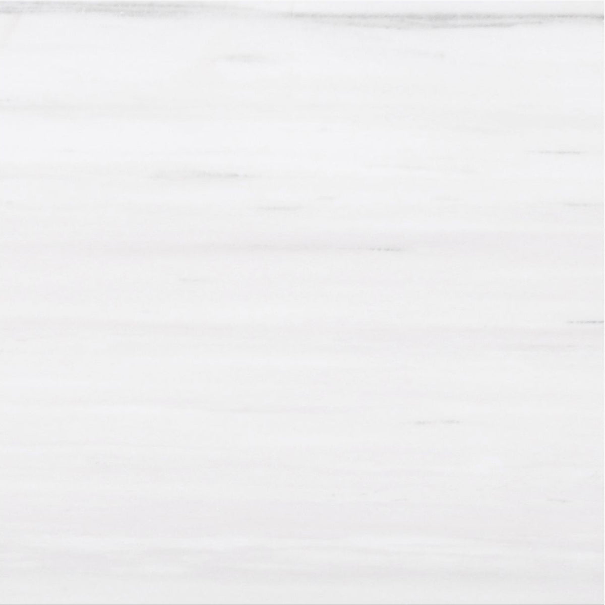 Glacier White Alanur Honed 12'' x 12''  x 3/8'' Field Tile