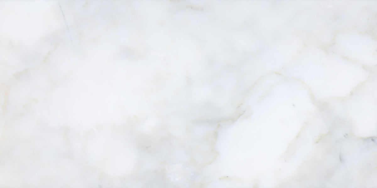 Calacatta Vida Honed 12'' x 24''  x 3/8'' Field Tile Building Materials 