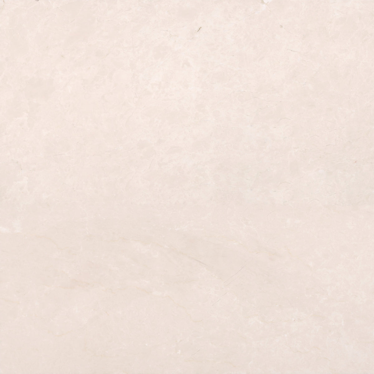 Crema Ella Honed 24'' x 24''  x 5/8'' Field Tile Building Materials 