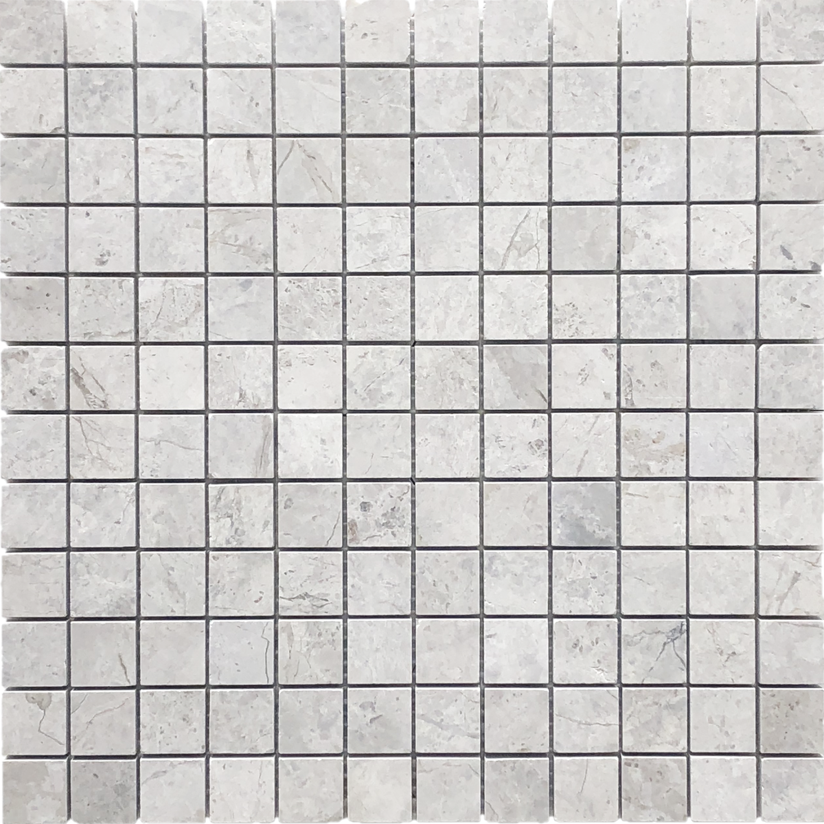 Tundra Grey 1''x1'' Polished Mosaic Building Materials 
